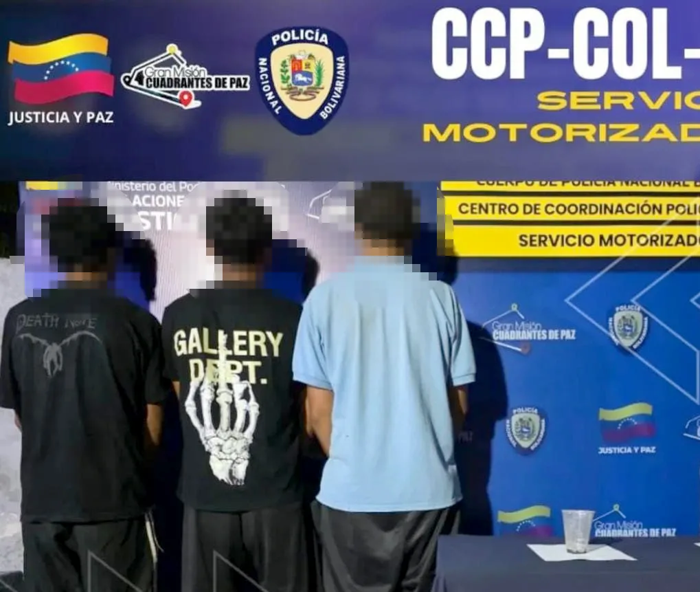 Detenidos dos adolescentes y un adulto