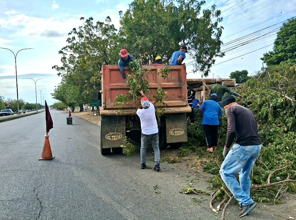 Inicia recolección de desechos en la Avenida Intercomunal