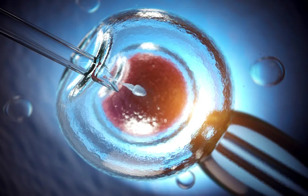 Un estudio detecta compuestos químicos en el semen que afectan la fertilidad