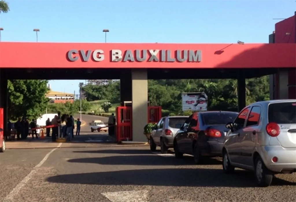 Empresas básicas de Guayana