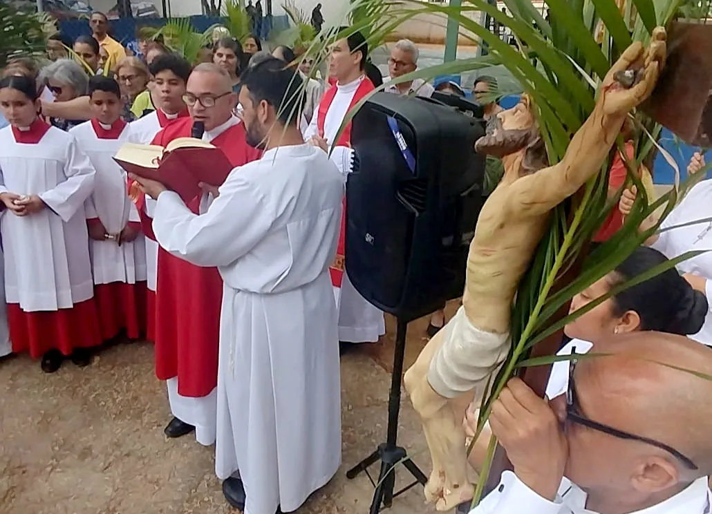 Celebración del Domingo de Ramos