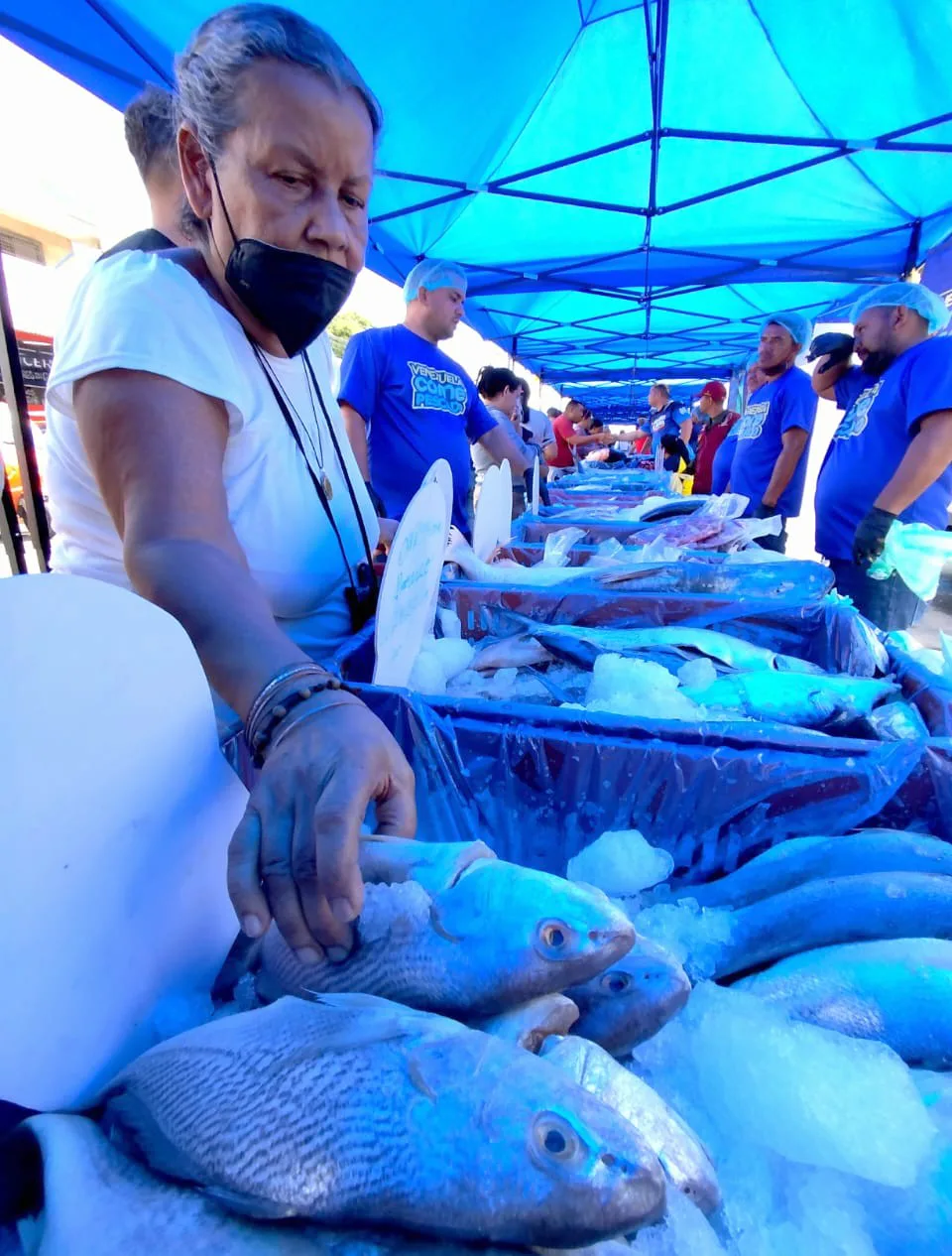 Plan Venezuela Come Pescado