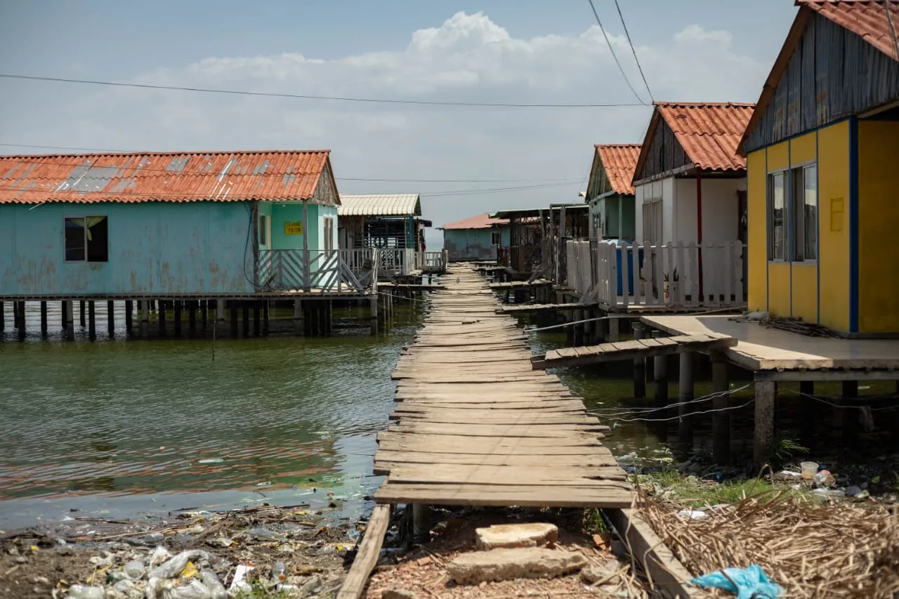 Reemplazan caminerías de madera en Santa Rosa de Agua