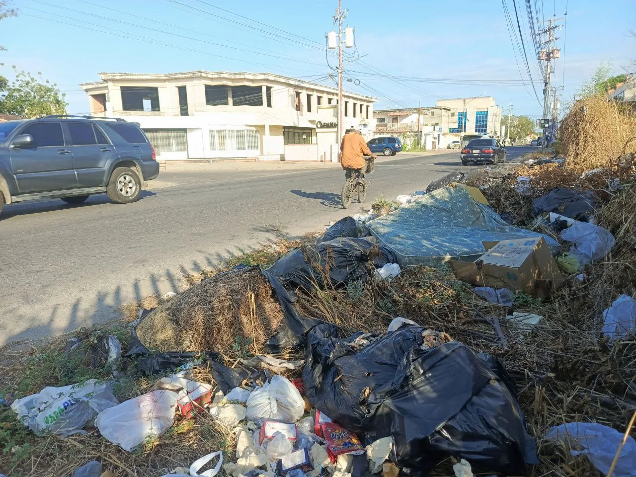 Ciudad Ojeda y todo el municipio Lagunillas enfrentan un reto que va más allá de la limpieza: se trata de conciencia y respeto por la vida