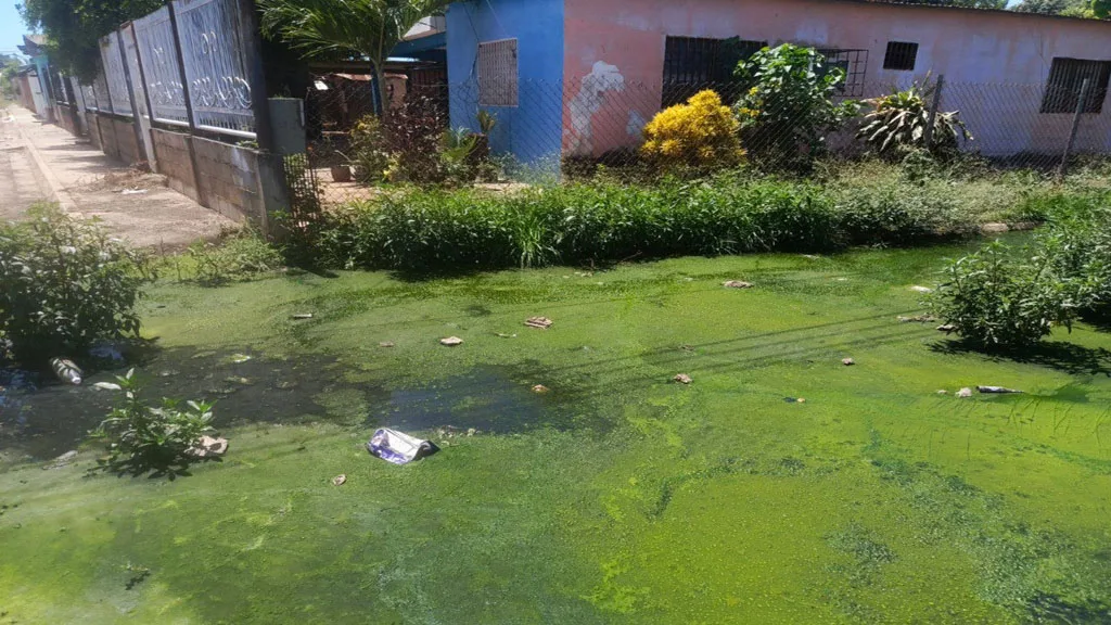 abitantes del barrio "Jesús Salazar” de Lagunillas, específicamente en los sectores 1 y 2, debido al colapso definitivo del sistema de aguas negras que afecta de manera directa a la calle Ancha y a la calle Alí Primera.
