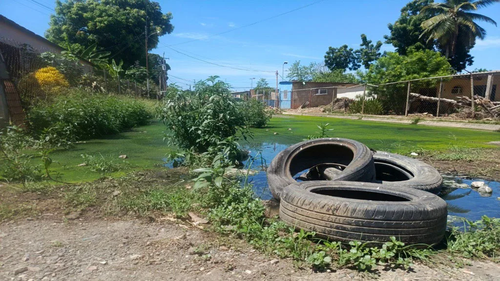 abitantes del barrio "Jesús Salazar” de Lagunillas, específicamente en los sectores 1 y 2, debido al colapso definitivo del sistema de aguas negras que afecta de manera directa a la calle Ancha y a la calle Alí Primera.