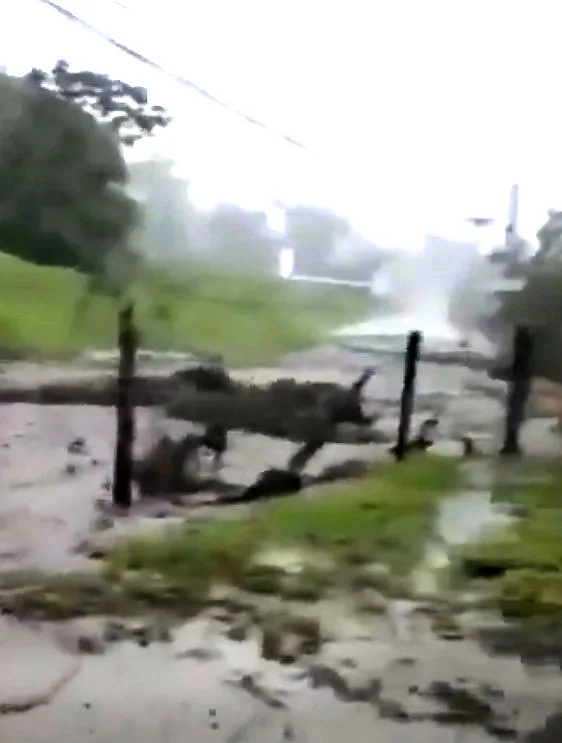 Fuertes lluvias e inundaciones en portuguesa