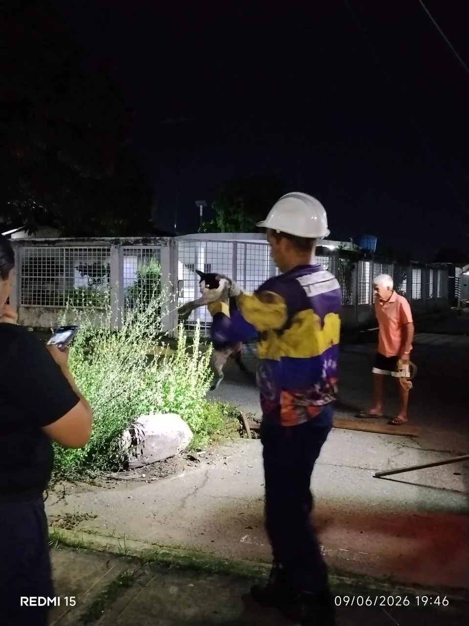 funcionarios del Cuerpo de Bomberos de Lagunillas lograron salvar la vida de un gato que permanecía atrapado dentro de una alcantarilla en la intersección de la calle Chile con la carretera “O” de la localidad.