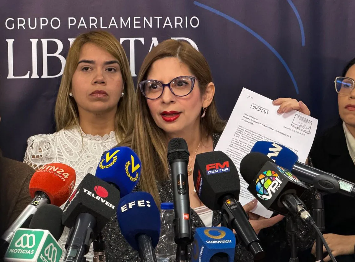 Nora Bracho Sistema Eléctrico Nacional