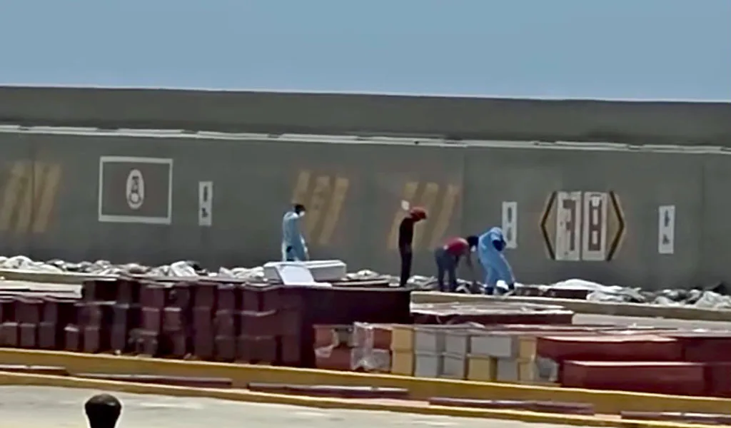 OMS  brotes de enfermedades en Venezuela
