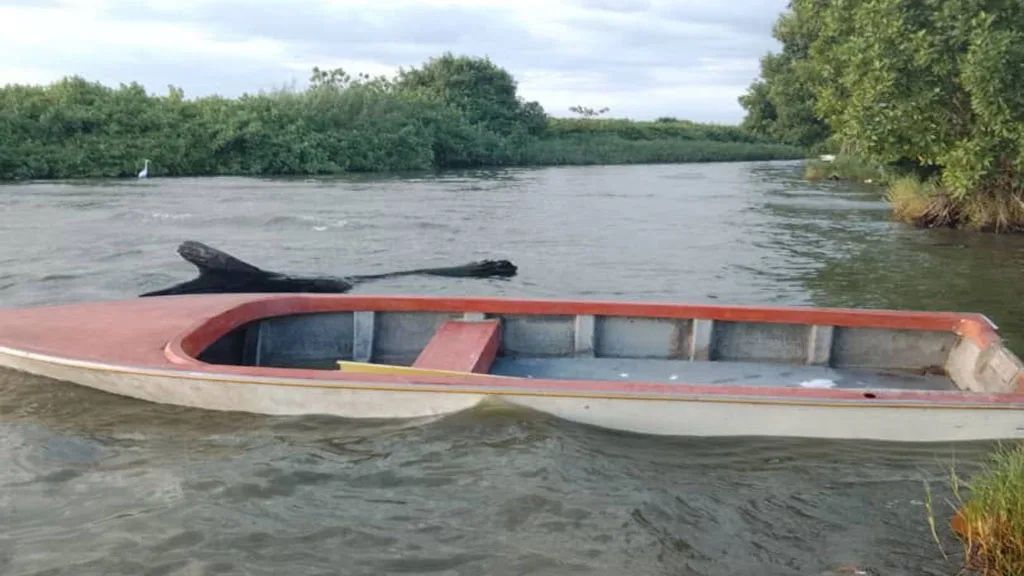 A dos días de la tragedia que enlutó al municipio Baralt, fuentes ligadas al caso confirmaron que la niña de 7 años sobreviviente al naufragio de un bote pesquero en las costas de San Timoteo, se encuentra estable.