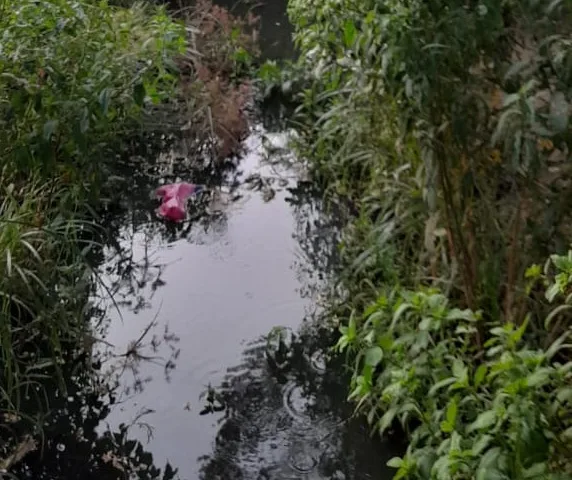 Comunidades del municipio Valmore Rodríguez del estado Zulia han alzado su voz para alertar sobre la crítica situación sanitaria que enfrentan actualmente los campos Progreso y Lídice.