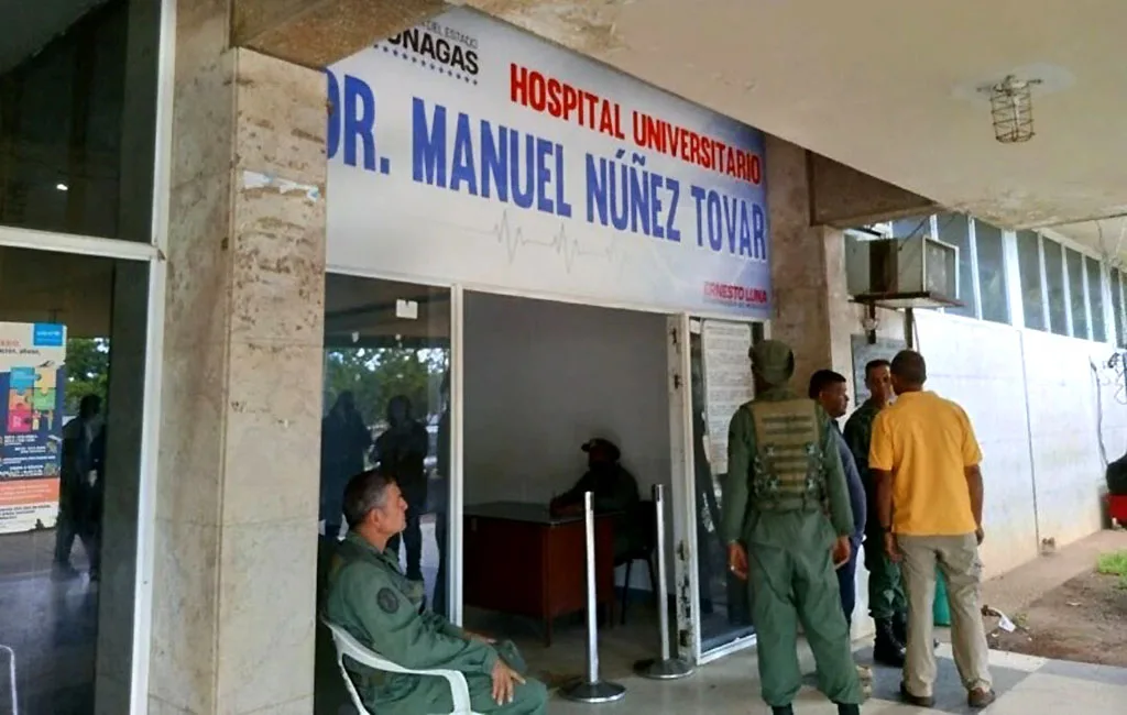 Hombre pierde los genitales tras ser mordido por un burro
